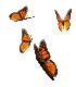 motyle